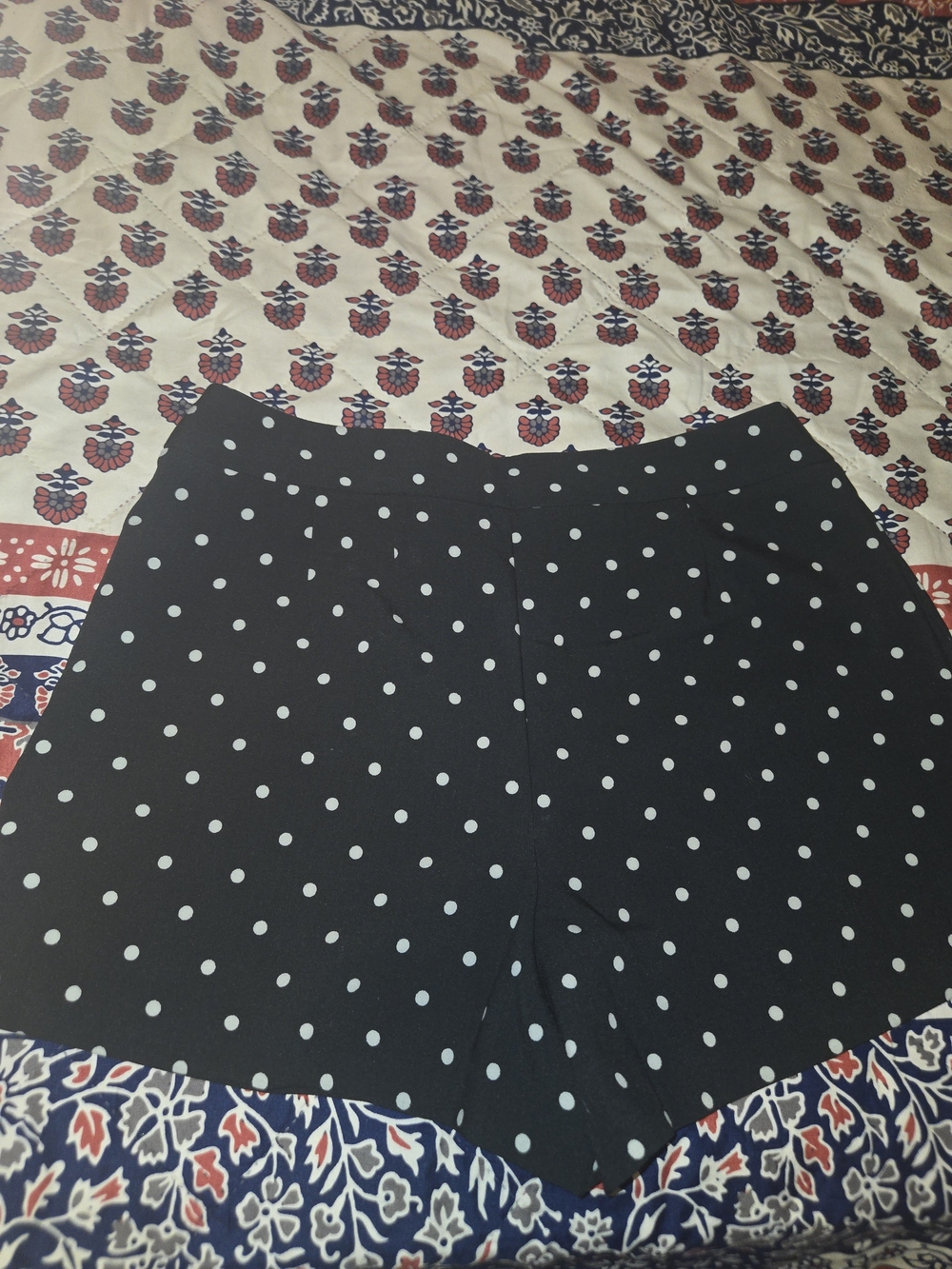 a new day Black Polka Dot Shorts